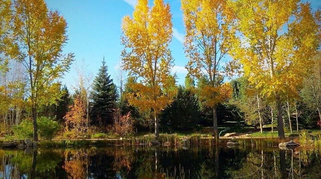 Changing fall colors #reflections