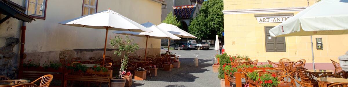 Sibiu which includes heritage architecture