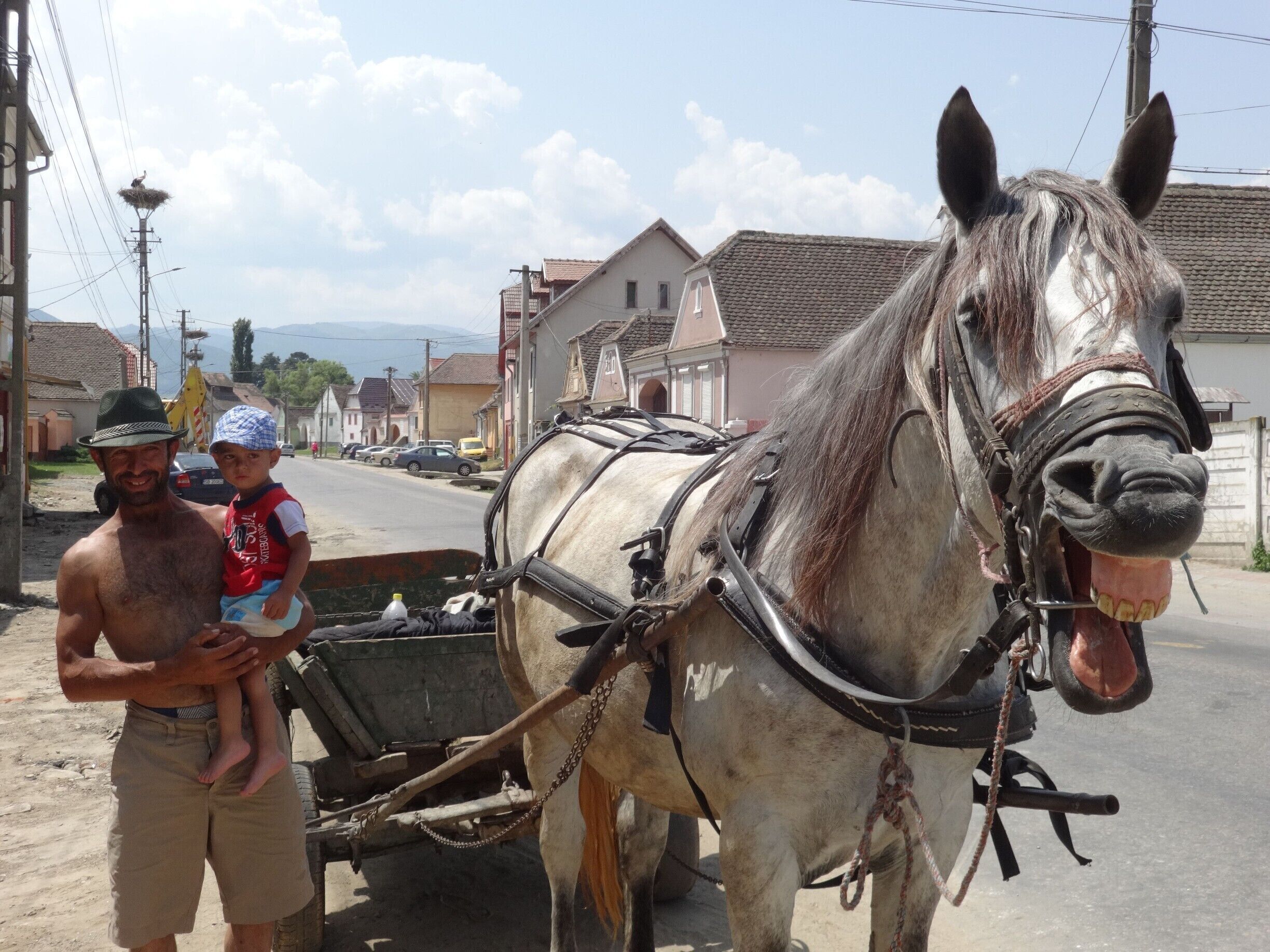 Passing through a village near Sibiu Romania and discussing with local people

#TakeAHike