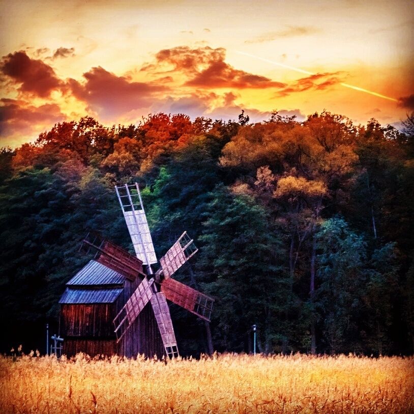 The "ASTRA" Museum of Traditional Folk Civilisation is located in the Dumbrava Forest, 3 km south of Sibiu, on the road towards Răşinari, and is easily accessible. Occupying an area of 0.96 square kilometres, it is the largest open air museum in Romania and one of the largest in Central and Eastern Europe. It contains houses and workshops of the traditional Romanian folk culture from the pre-industrial era. Over 300 houses and other buildings are situated in the forest around two artificial lakes with over 10 km of walkways between them.
Source: Wikipedia
