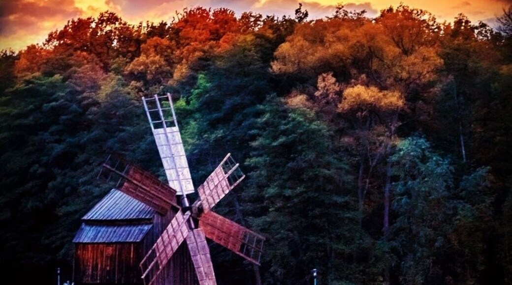 The "ASTRA" Museum of Traditional Folk Civilisation is located in the Dumbrava Forest, 3 km south of Sibiu, on the road towards Răşinari, and is easily accessible. Occupying an area of 0.96 square kilometres, it is the largest open air museum in Romania and one of the largest in Central and Eastern Europe. It contains houses and workshops of the traditional Romanian folk culture from the pre-industrial era. Over 300 houses and other buildings are situated in the forest around two artificial lakes with over 10 km of walkways between them.
Source: Wikipedia