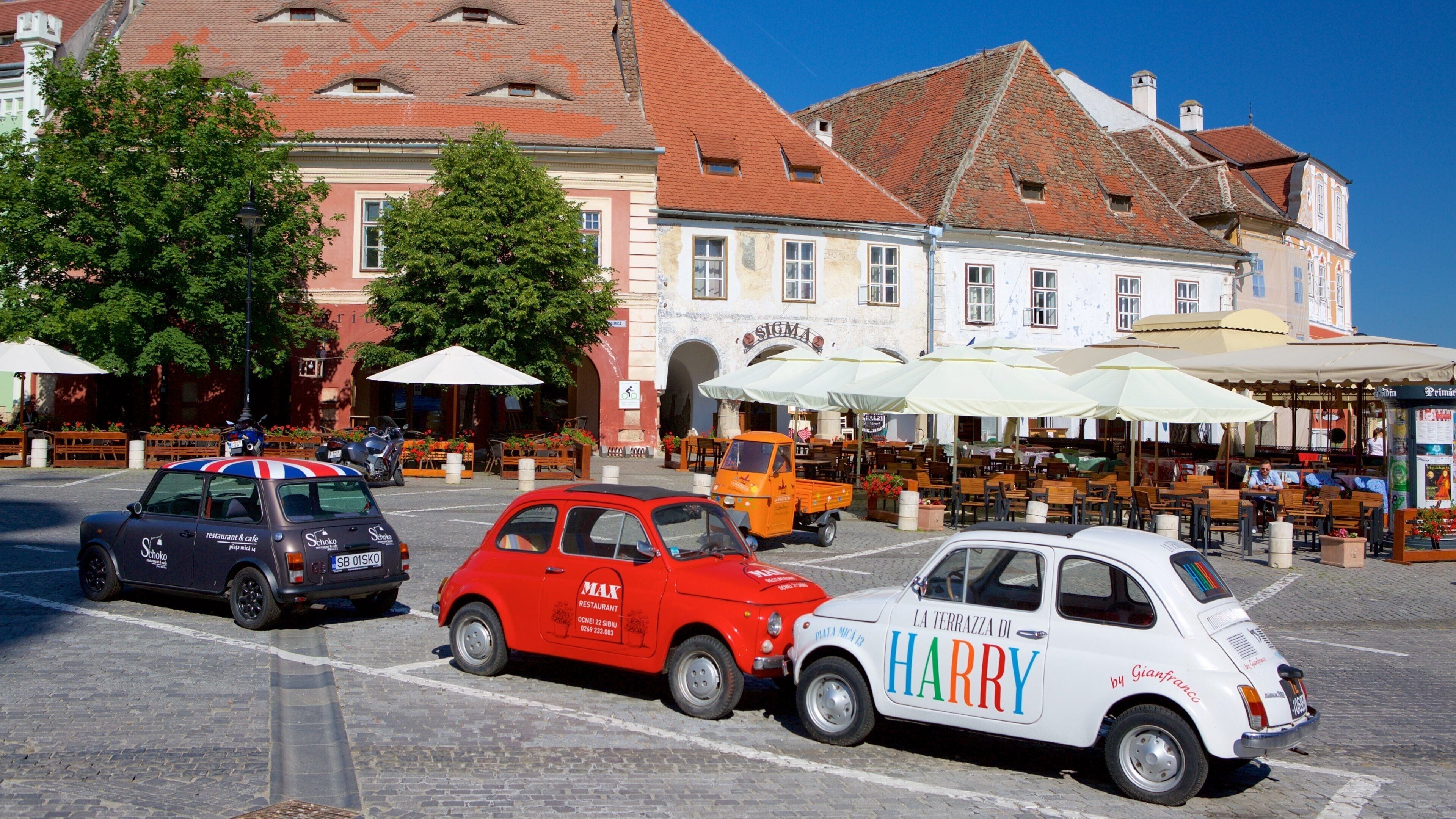 Sibiu showing street scenes