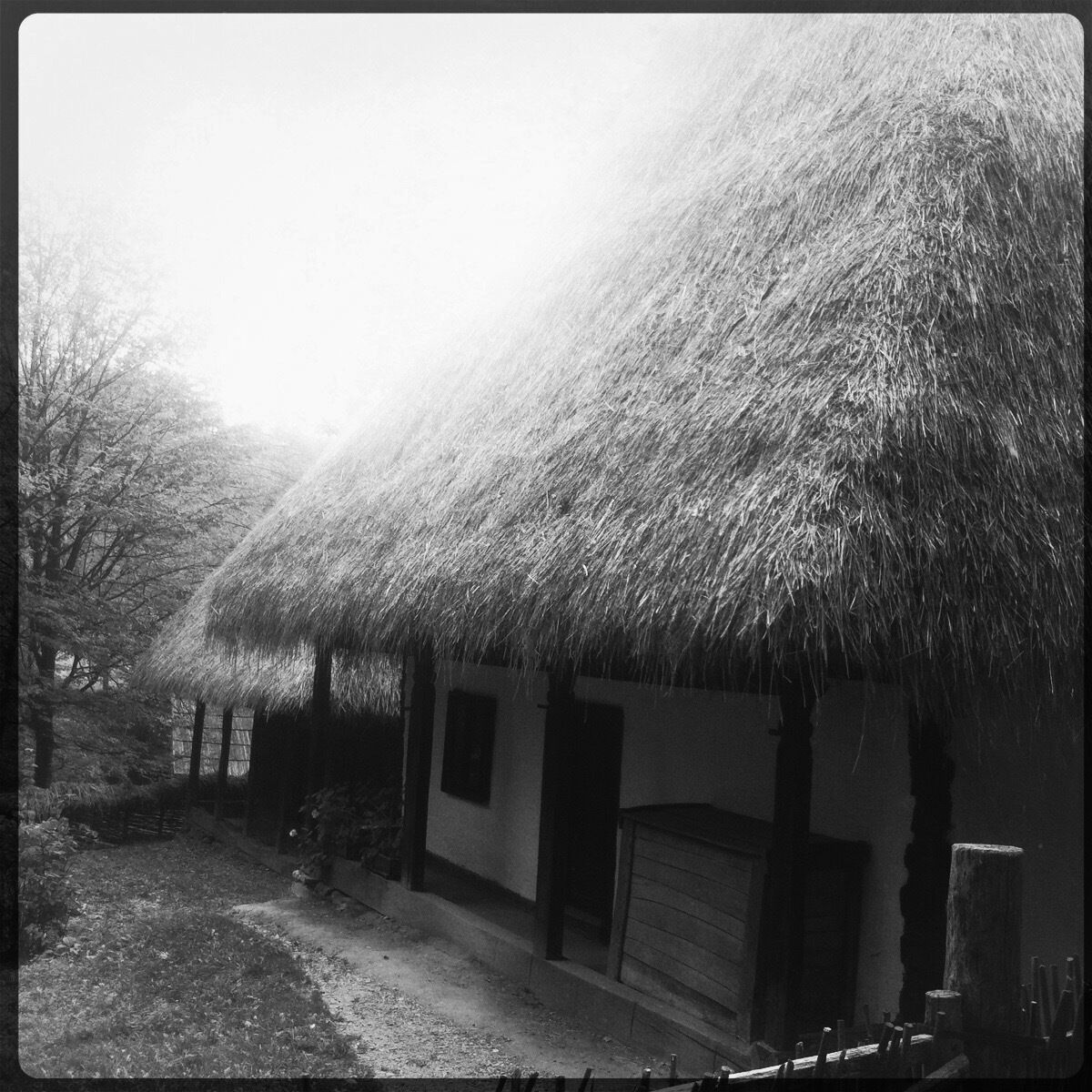 Traditional folk Romanian peasants home from different rural areas all gathered in an open air museum in #sibiu #architecture