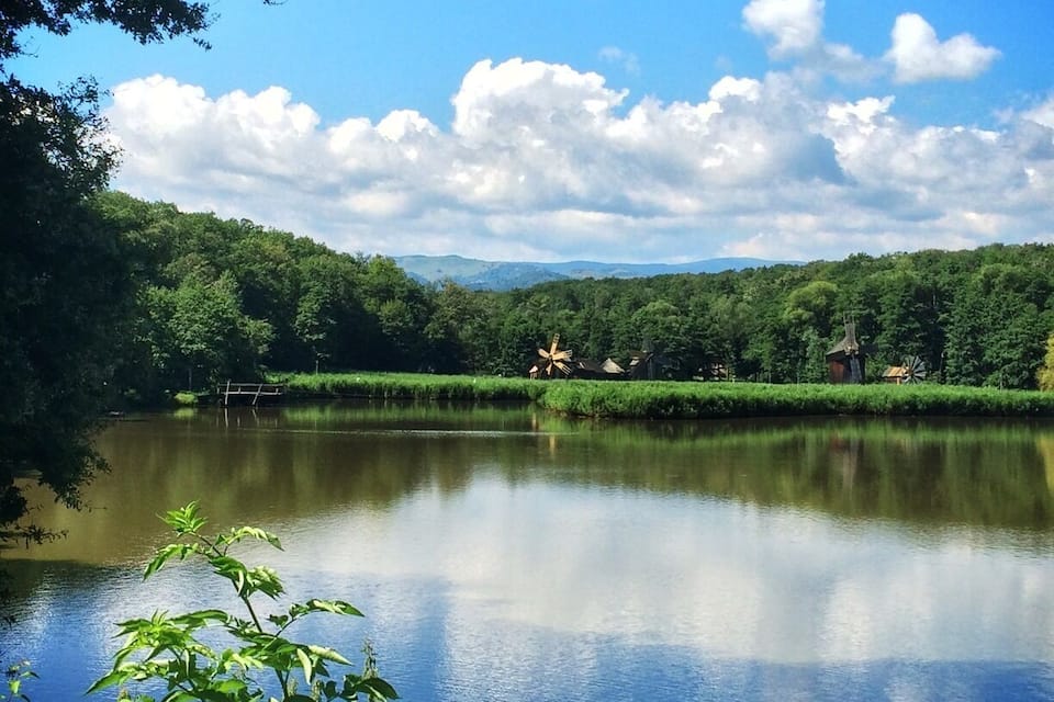 Un lago tranquilo rodeado de vegetación exuberante y un cielo azul despejado.