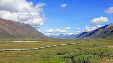 View of Dalton Highway with oil pipeline, leading from Valdez, Fairbanks to Prudhoe Bay, Alaska, USA