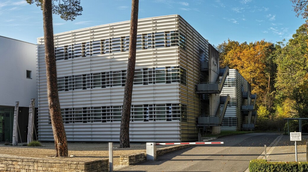 NOTE: This image is a panorama consisting of 4 frames that were merged or stitched in AutoStitch. As a result, this image necessarily underwent some form of digital manipulation. These manipulations may include blending, blurring, cloning, and color and perspective adjustments. As a result of these adjustments, the image content may be slightly different than reality at the points where multiple images were combined. This manipulation is often required due to lens, perspective, and parallax distortions.