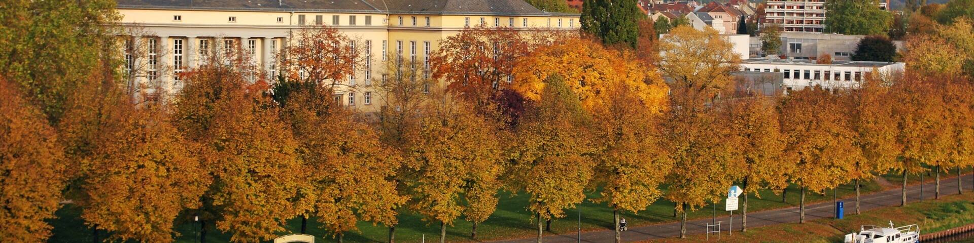 Saarbrücken which includes heritage architecture, a river or creek and fall colors
