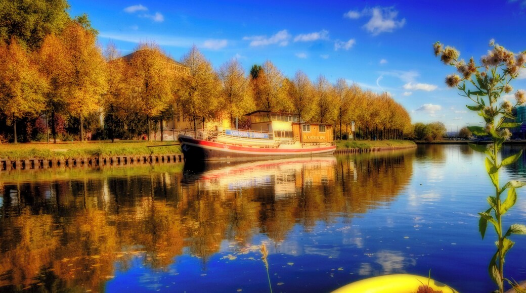 Klick here for a large view! Saarbrücken, im Herbst