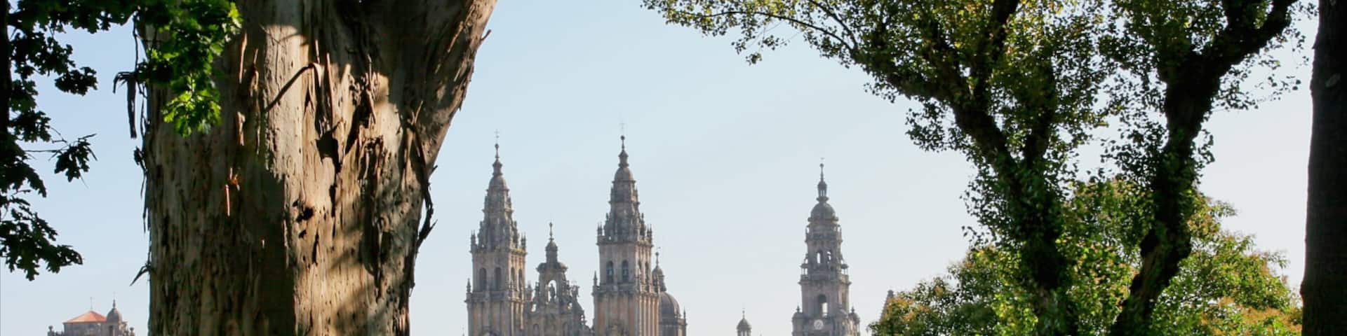 Santiago de Compostela featuring a church or cathedral, heritage architecture and a garden