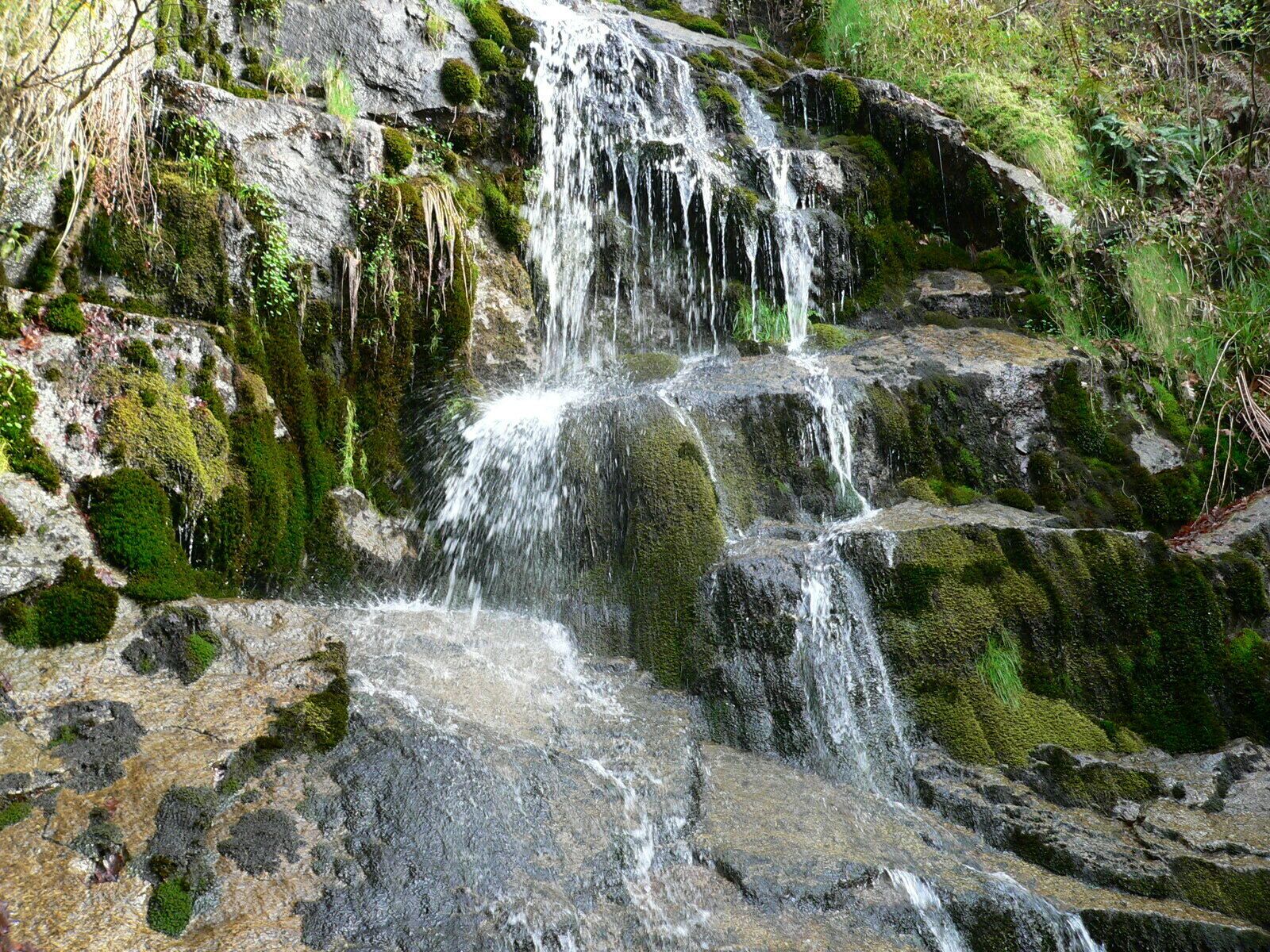 A small waterfall cascading over moss-covered rocks in a forested area.