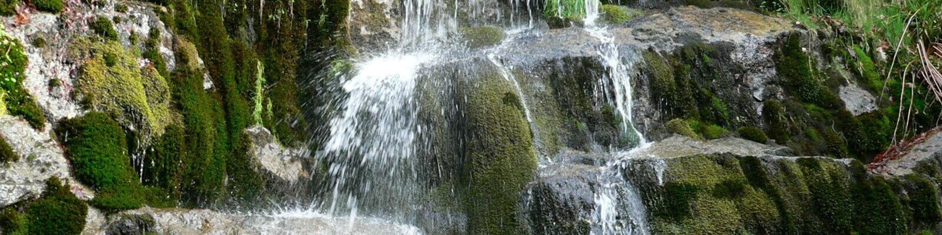 A small waterfall cascading over moss-covered rocks in a forested area.