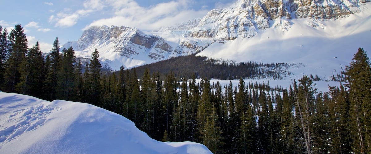 A snow-covered mountain range with dense forests at the base.