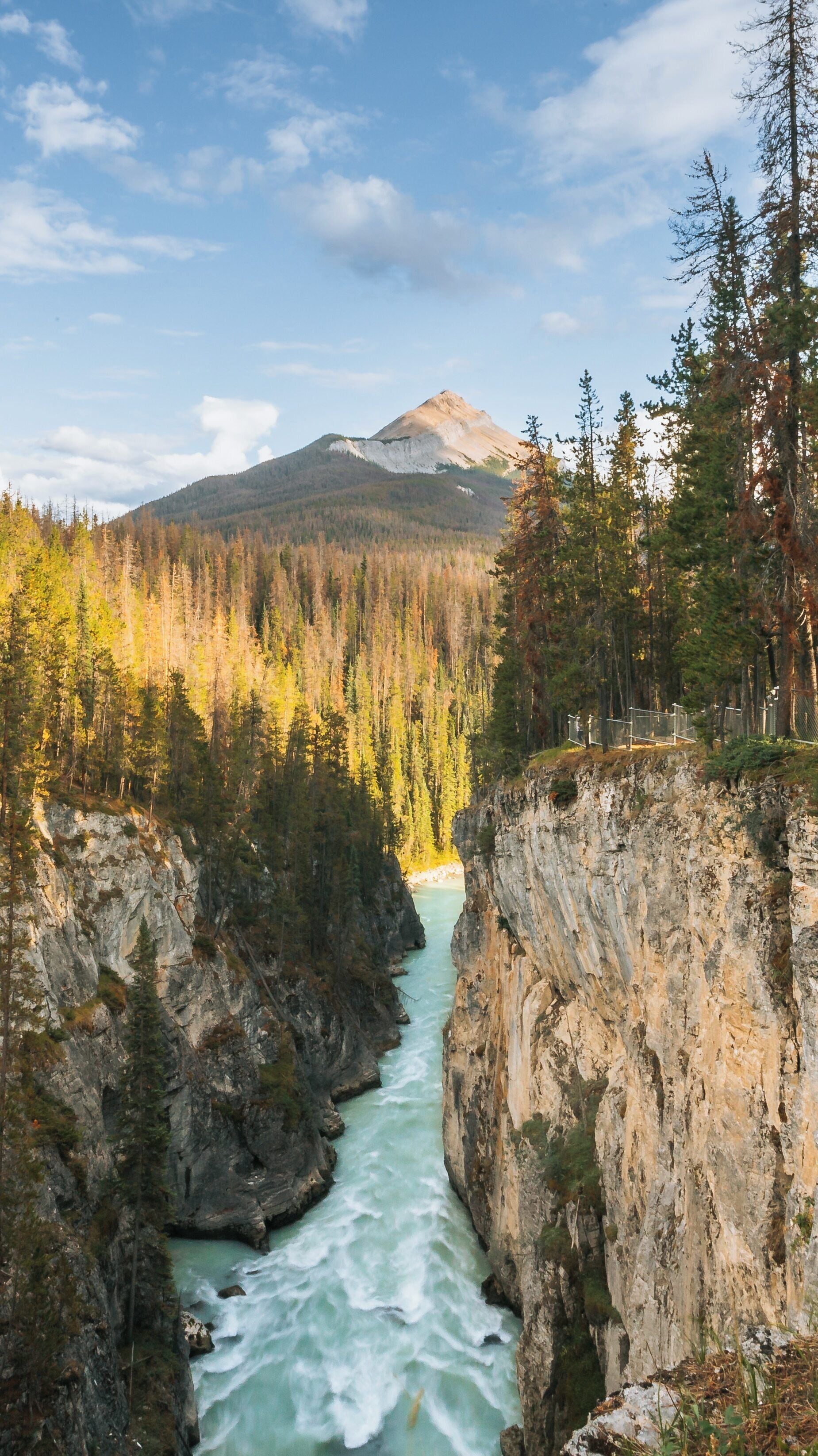 Sunwapta Falls captures the breathtaking beauty of Jasper, Alberta with vibrant autumn colors and towering cliffs against a serene river backdrop