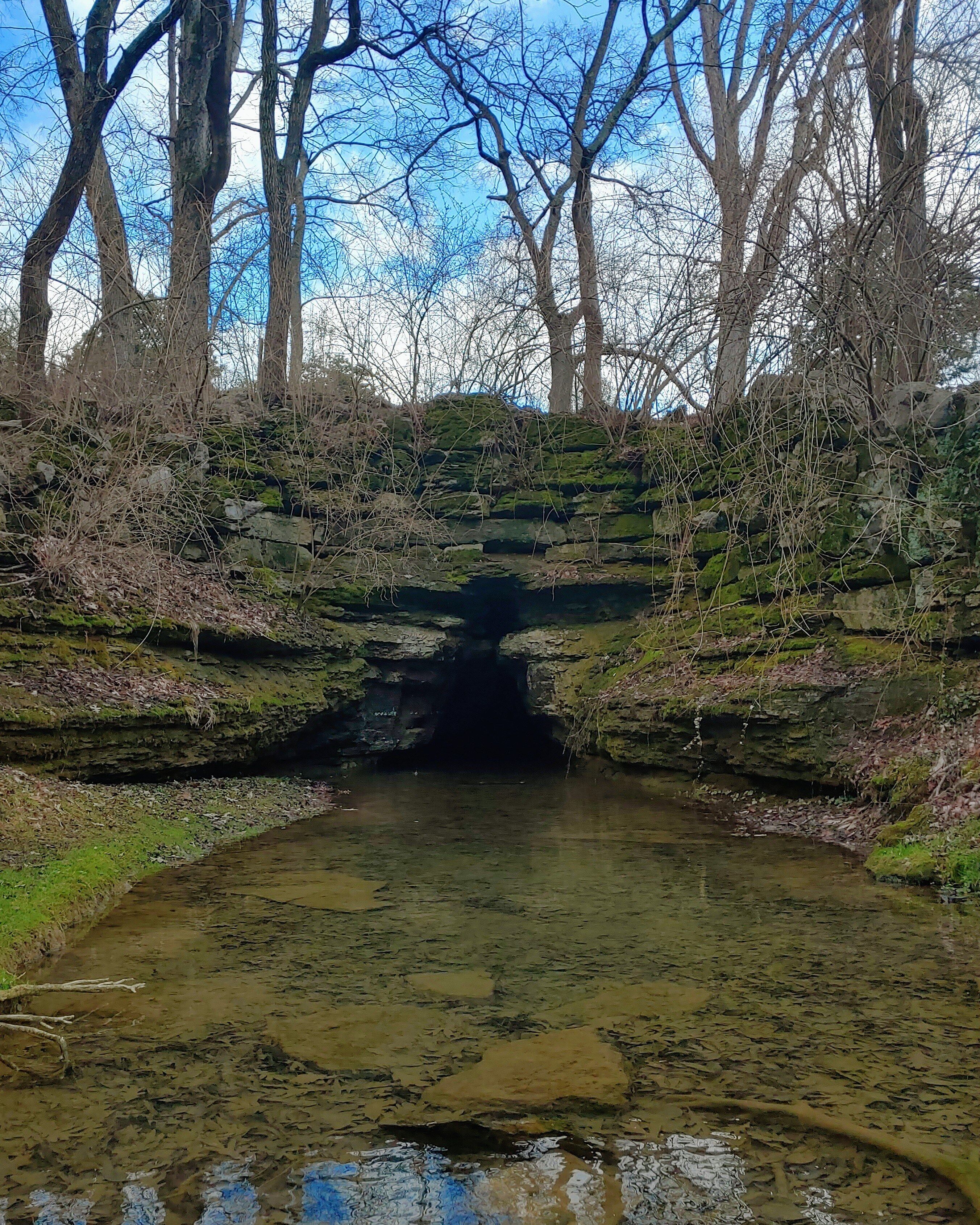 What's in a name?

Well, oddly enough, at Cave Hill Cemetery, there's a hill, with a cave.

A natural spring spills forth from this 246 ft deep cave. Standing upright, the cave could be explored for about 100ft. No, it's not allowed... There is a colony of bats that inhabit the cave. Bats pouring from a cave at dusk in a cemetery would be quite a visual.