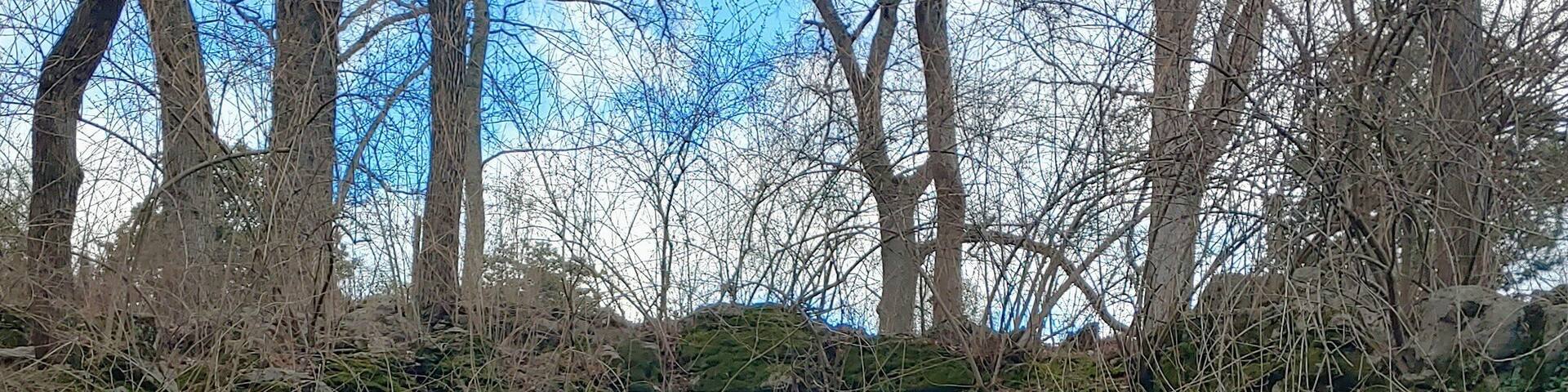 What's in a name?
Well, oddly enough, at Cave Hill Cemetery, there's a hill, with a cave.
A natural spring spills forth from this 246 ft deep cave. Standing upright, the cave could be explored for about 100ft. No, it's not allowed... There is a colony of bats that inhabit the cave. Bats pouring from a cave at dusk in a cemetery would be quite a visual.