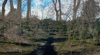 What's in a name?
Well, oddly enough, at Cave Hill Cemetery, there's a hill, with a cave.
A natural spring spills forth from this 246 ft deep cave. Standing upright, the cave could be explored for about 100ft. No, it's not allowed... There is a colony of bats that inhabit the cave. Bats pouring from a cave at dusk in a cemetery would be quite a visual.