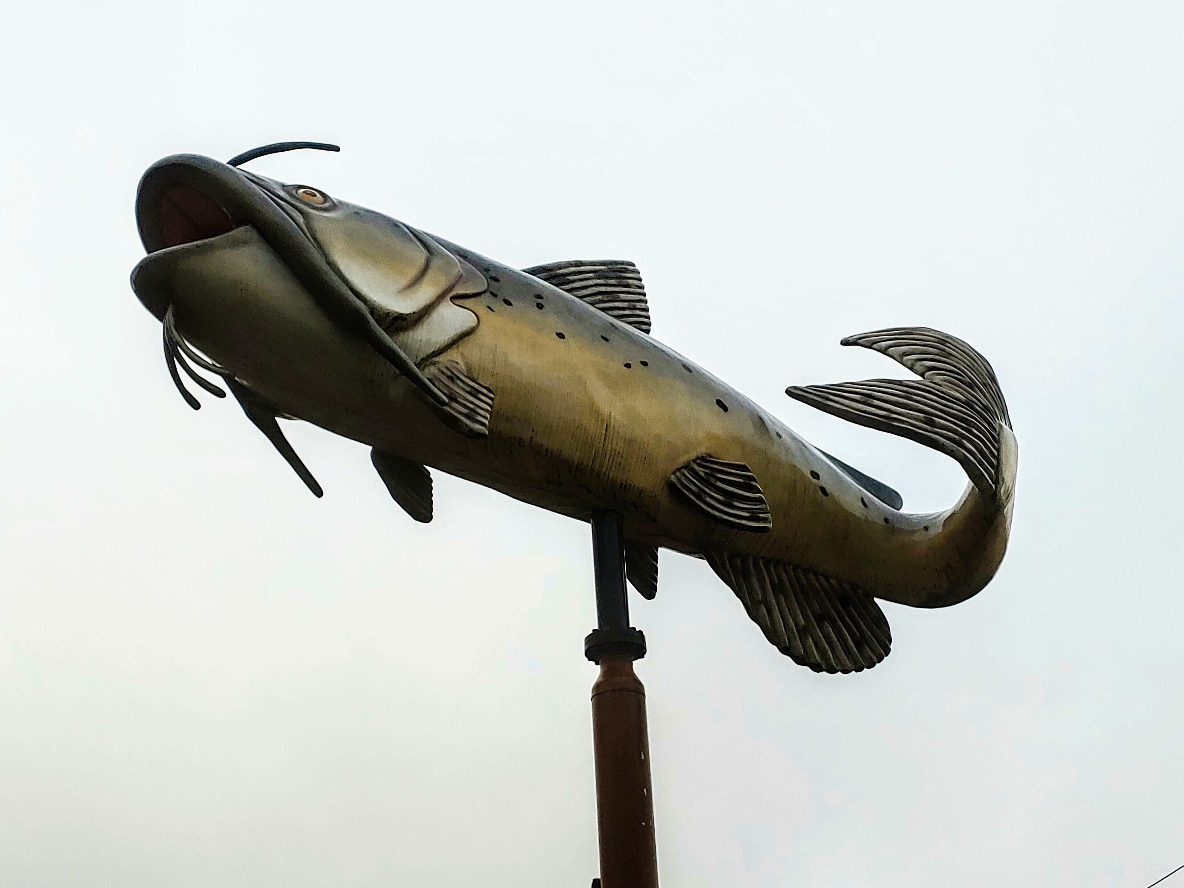 A couple of giant fish remain at a shuttered tackle and bait shop on the outskirts of Louisville.