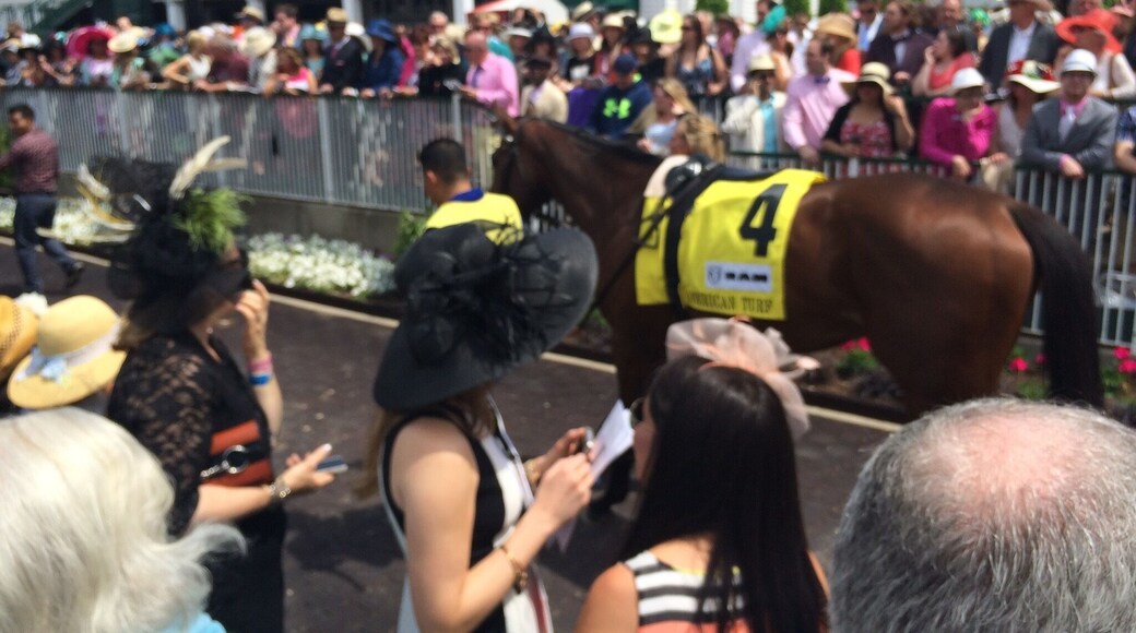 Louisville Kentucky
One of the best horse tracks. Even if you don't like to bet on the Horse- people watching will keep you busy.