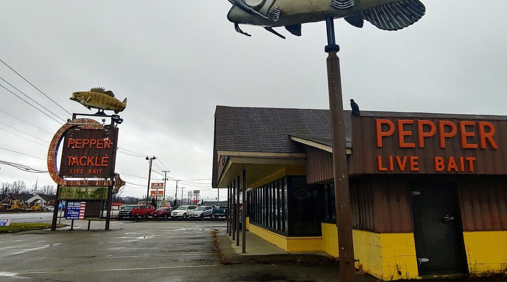 A couple of giant fish remain at a shuttered tackle and bait shop on the outskirts of Louisville.