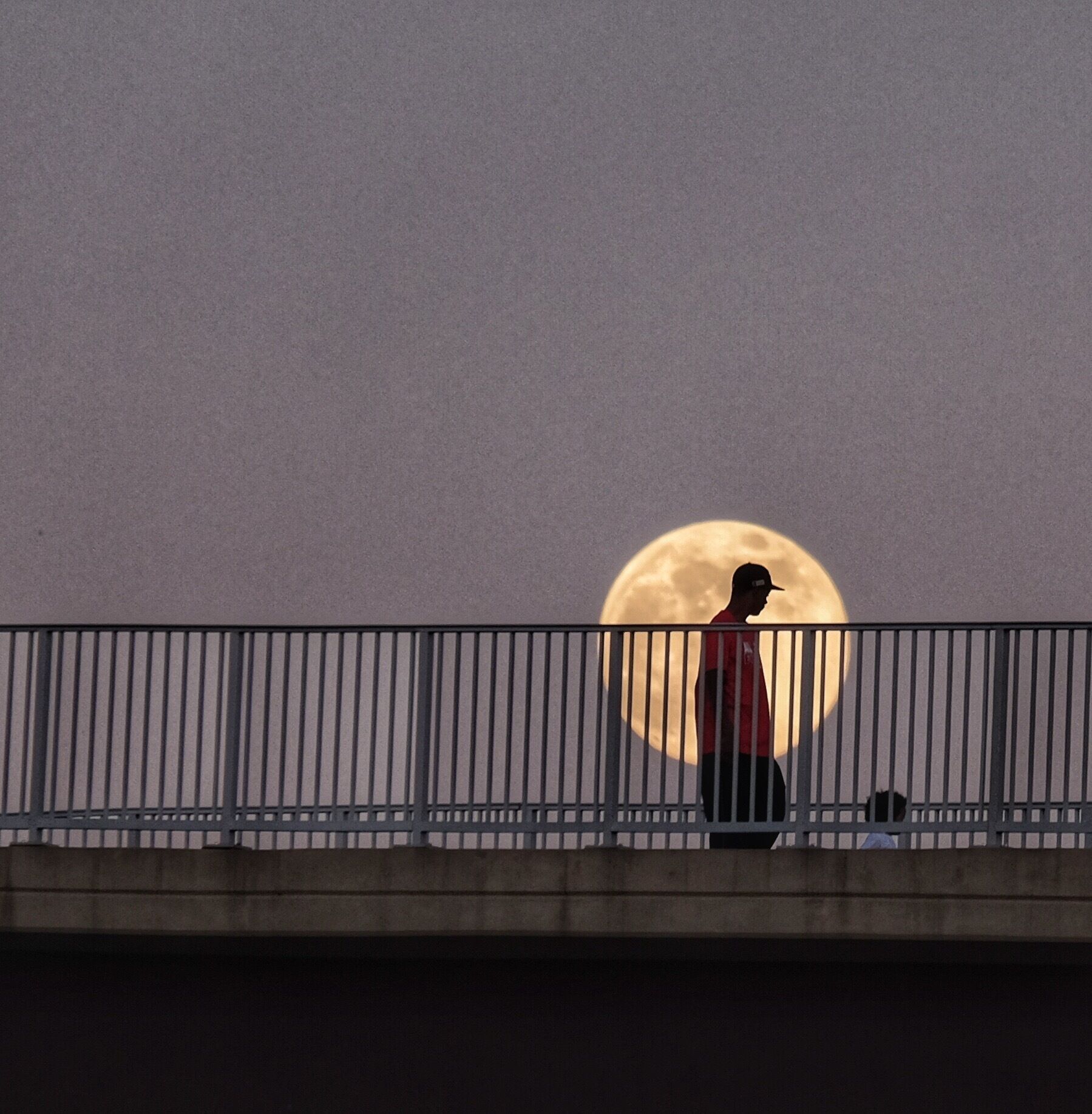 Full moon made for a nice walk