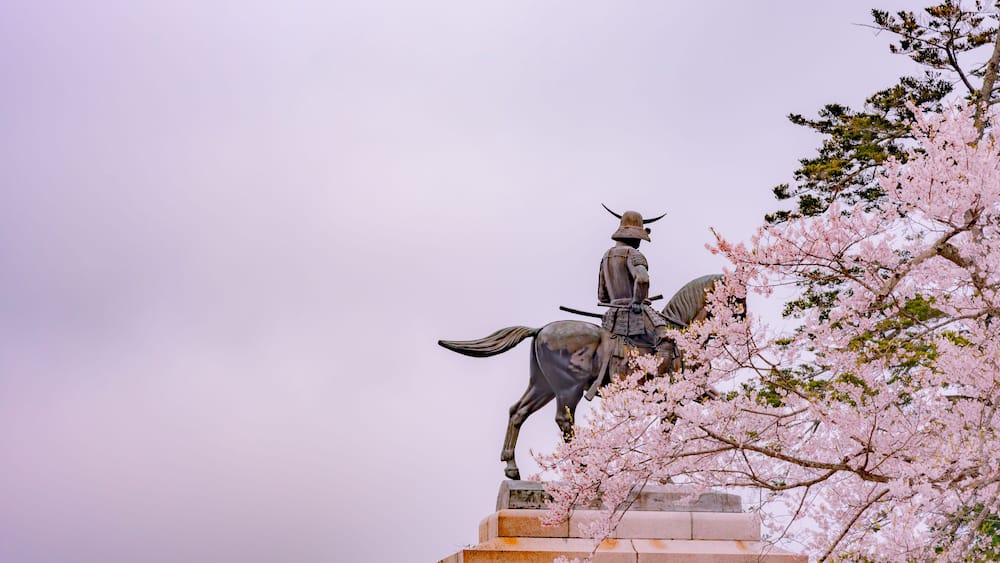 A statue of Masamune Date on horseback entering Sendai Castle in full bloom cherry blossom