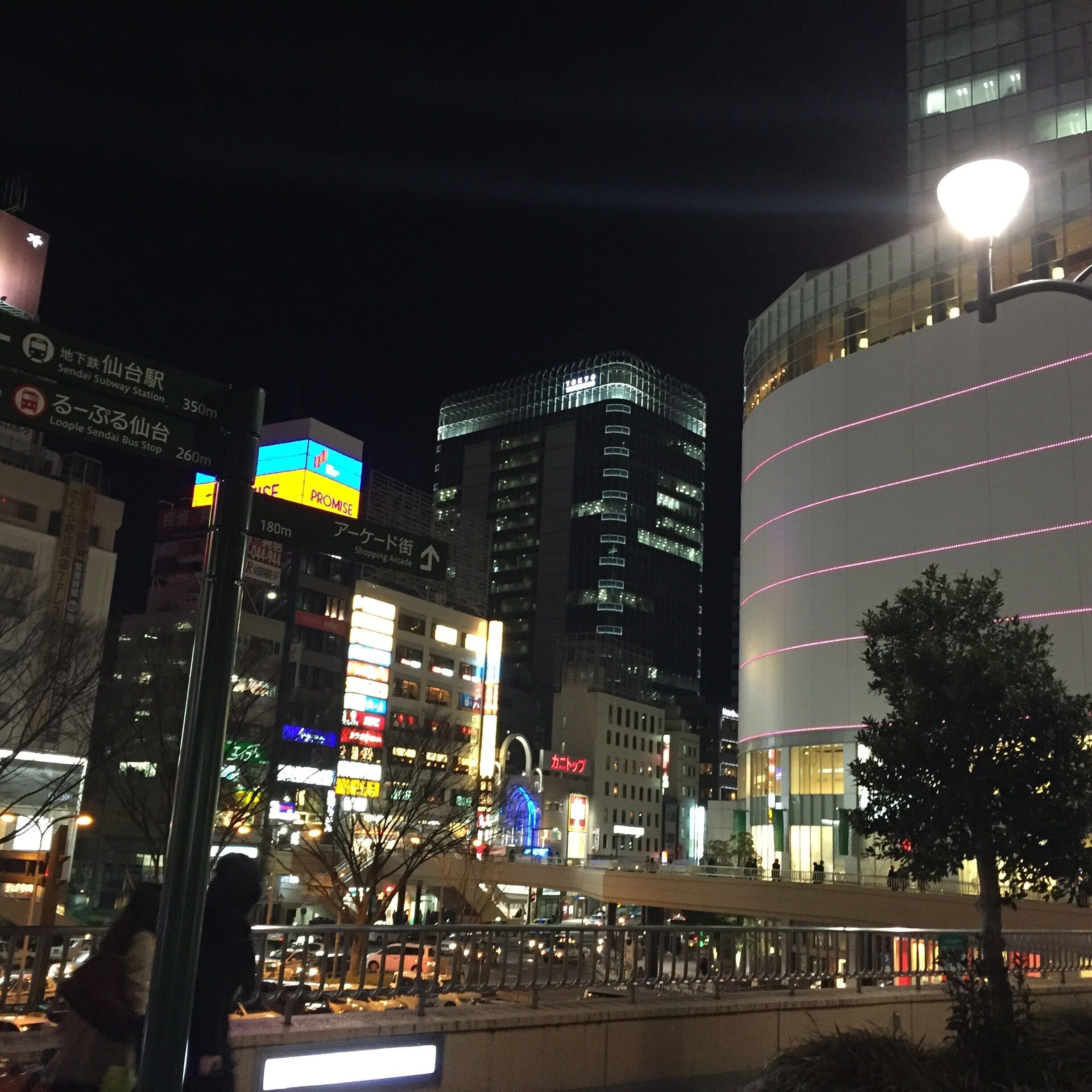 Bustling Shopping area opposite Sendai JR station..