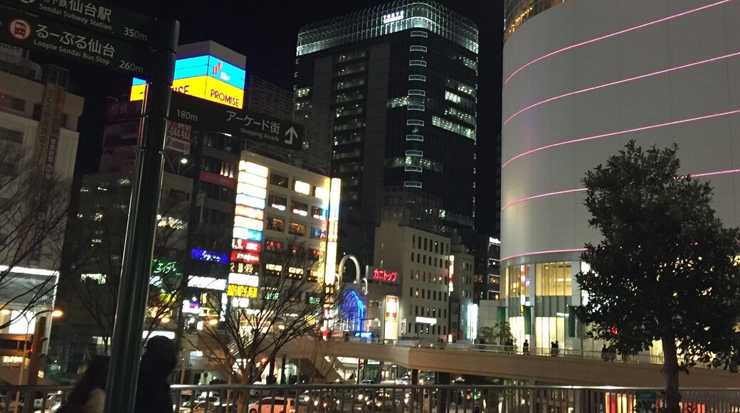 Bustling Shopping area opposite Sendai JR station..
