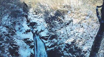 A winter waterfall. Akiu Falls near Sendai.