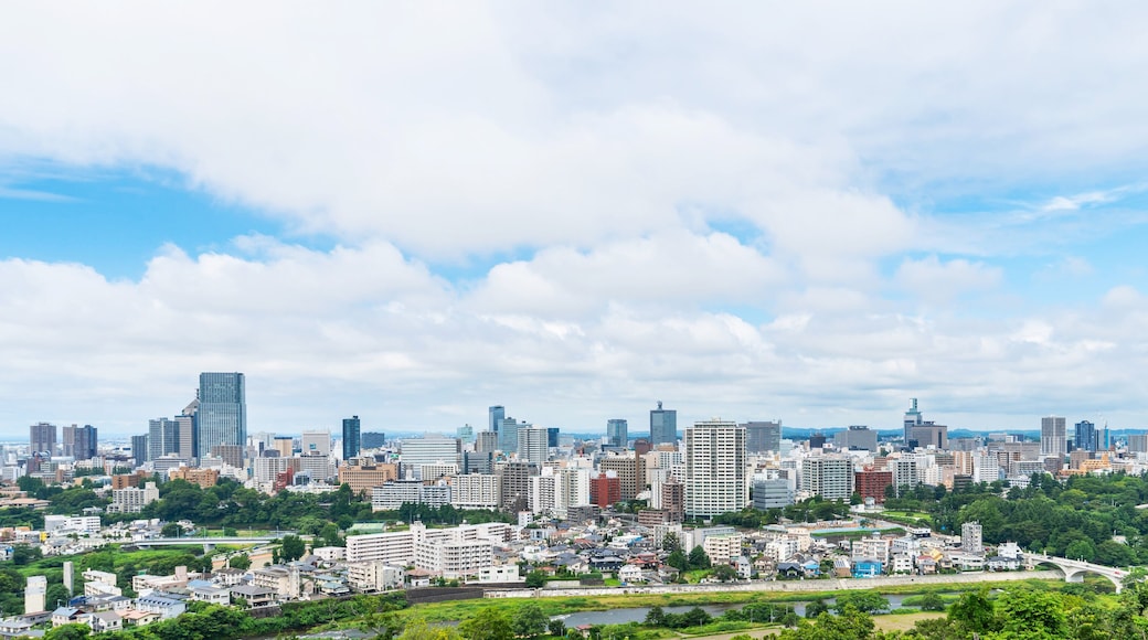 city skyline aerial view of Sendai in Japan