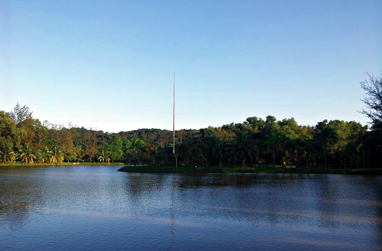 Typical afternoon jog at the park