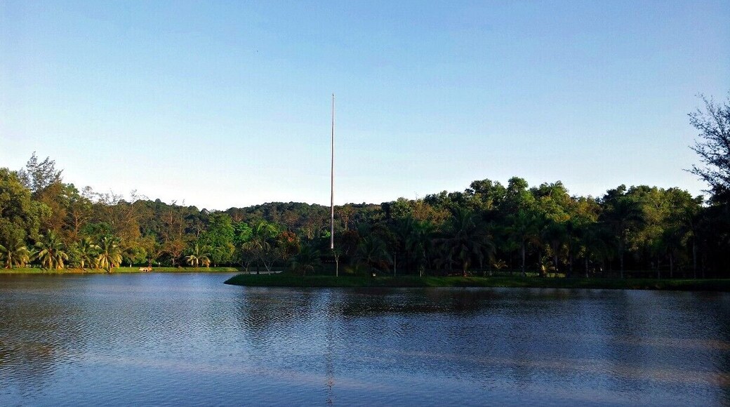 Typical afternoon jog at the park
