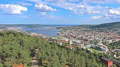 A cityscape with a river, bridge, and surrounding forest.