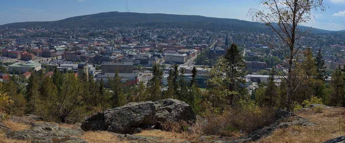 A cityscape with a mountain in the background.