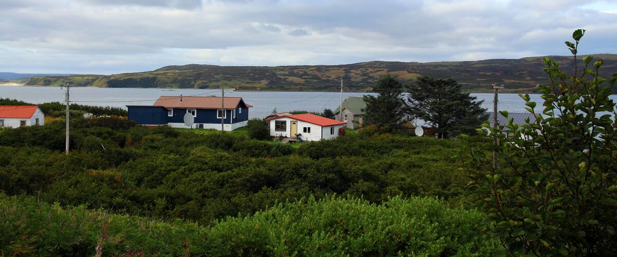 A coastal landscape with houses, dense greenery, and a body of water.