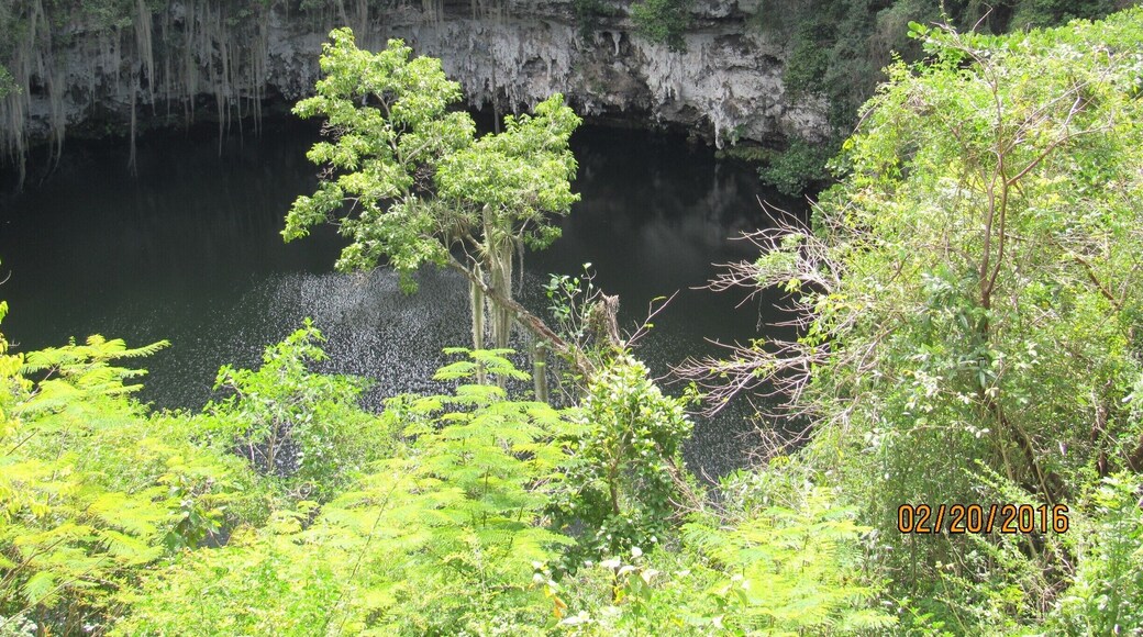 Another view of the 4th lake in Los Tres Ojos Natural Park.