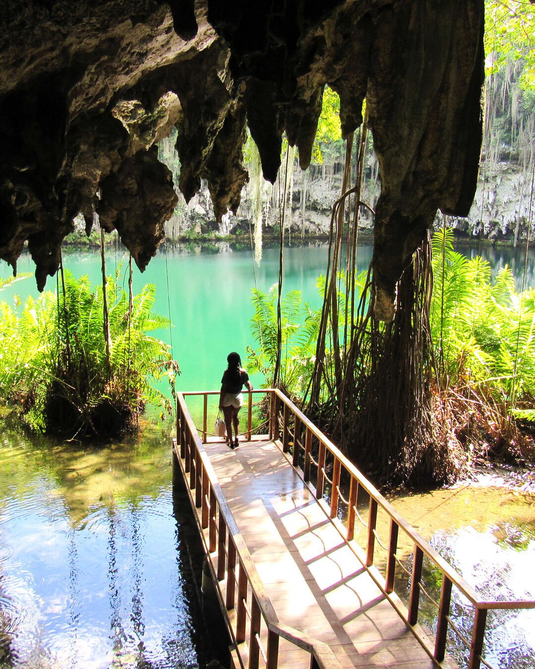 Los Tres Ojos, also known as Three Eyes National Park is located in the municipality of Santo Domingo Este and consists of underground limestone caves, clear water lagoons, wildlife and a lot of tropical flora and fauna.

Read more about Los Tres Ojos and our visit to Santo Domingo, the Dominican Republic. http://travelwith2ofus.com/utterly-amazed-by-los-tres-ojos-thrilled-by-santo-domingo.php

#travel #SanoDomingo #Caribbean #DominicanRepublic #LosTresOjos #Nature #Caves #Tour #Lakes #Lagoons #Flora #Fauna #green #aquatrove