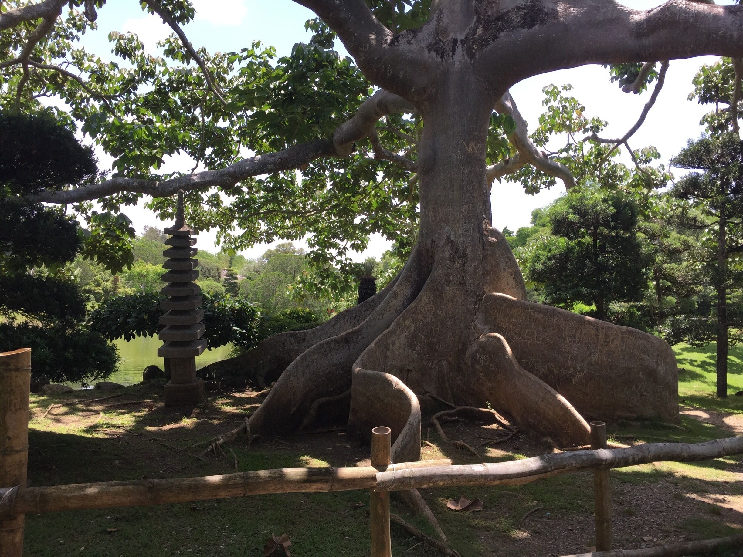 Lugar fascinante en Santo Domingo 