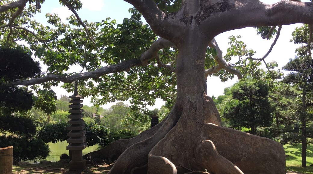 Lugar fascinante en Santo Domingo