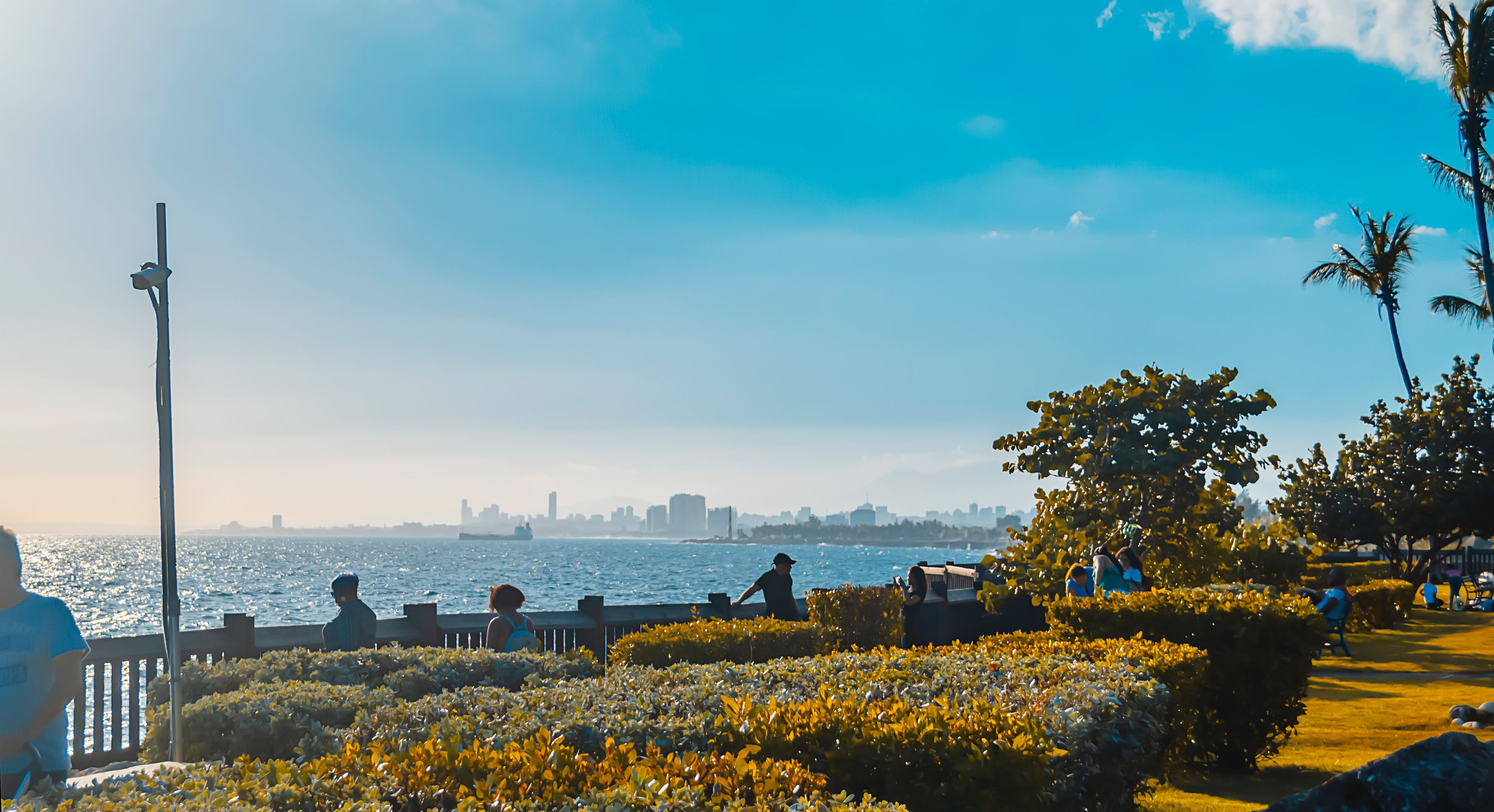 Um parque à beira-mar com pessoas, o horizonte da cidade e um céu claro.