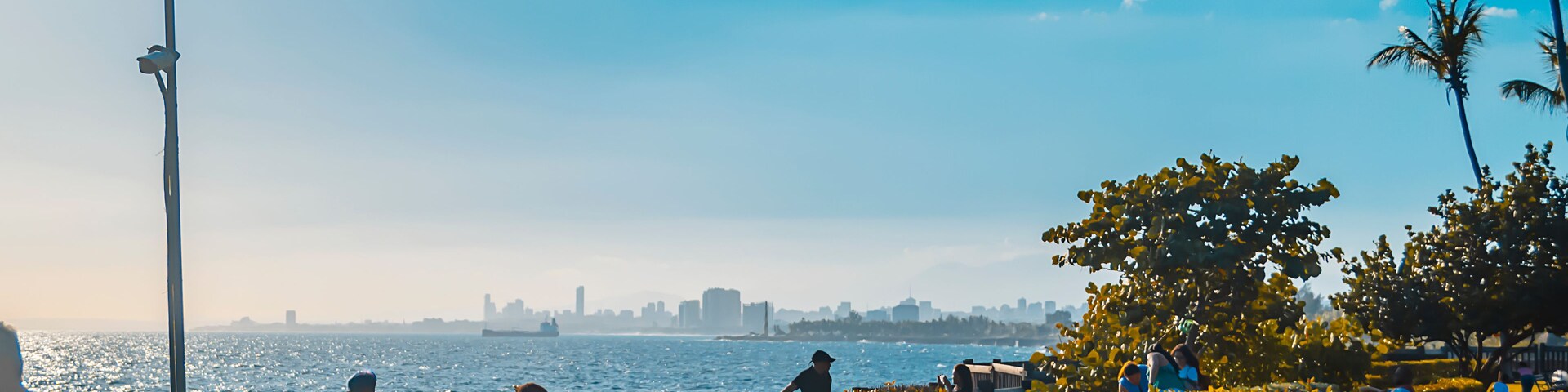 Um parque à beira-mar com pessoas, o horizonte da cidade e um céu claro.