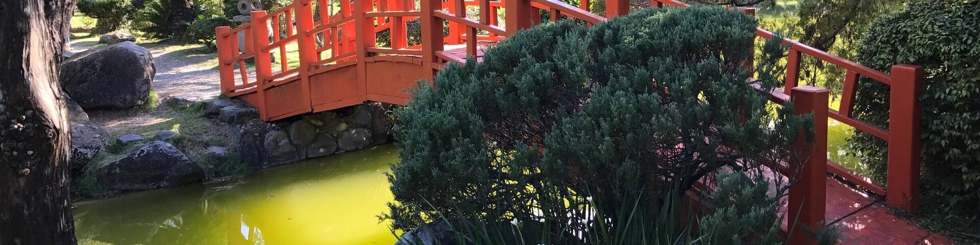 #Blue Travel Photos desde el Jardín Botánico de Santo Domingo, R. D.