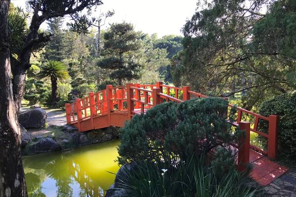 #Blue Travel Photos desde el Jardín Botánico de Santo Domingo, R. D.