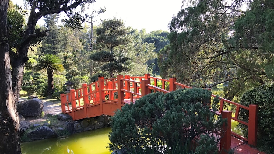 #Blue Travel Photos desde el JardĂn BotĂĄnico de Santo Domingo, R. D.