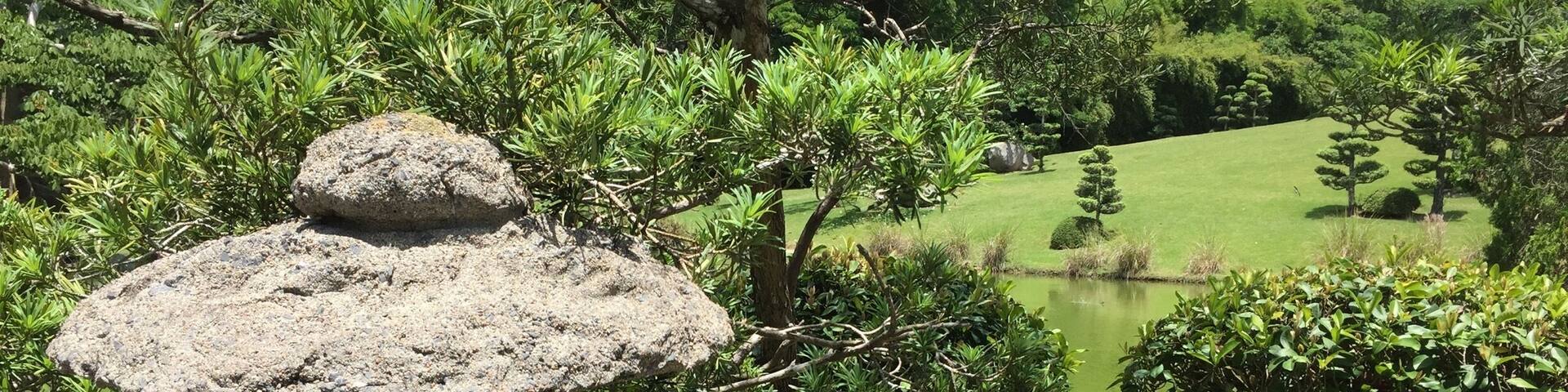 A perfect walk path!