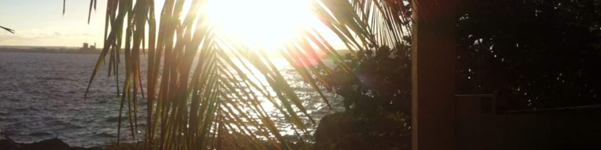 Palmeras y sol ❤️