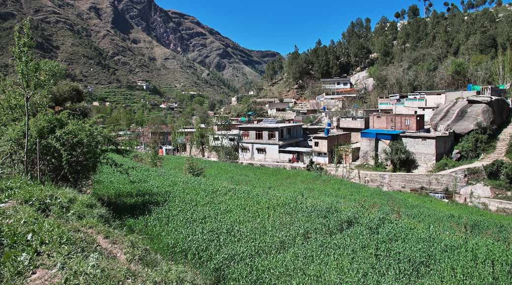 A small village close Mingora in Swat valley of Himalayas, Pakistan