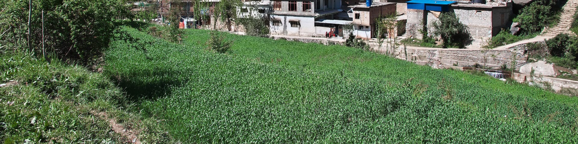A small village close Mingora in Swat valley of Himalayas, Pakistan