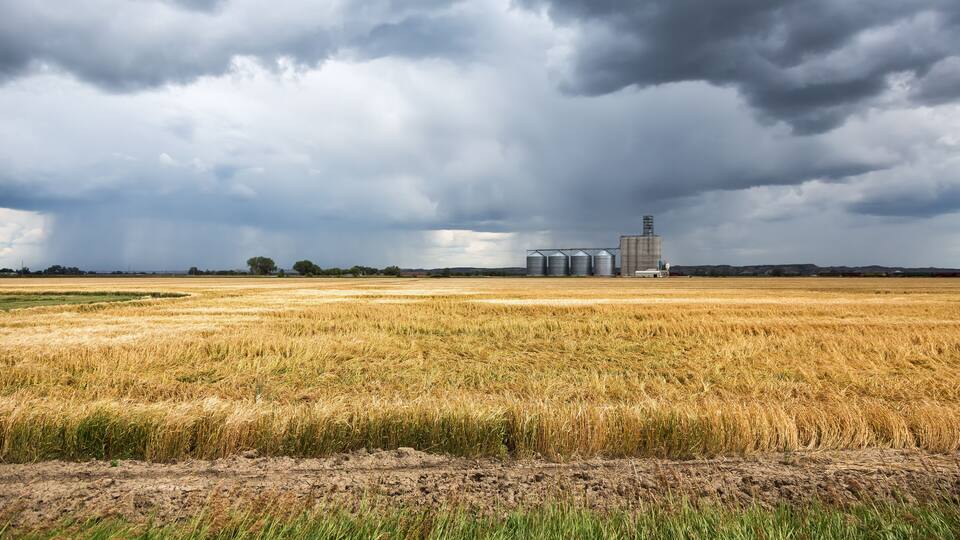A vast wheat field under a stormy sky with a silo in the distance.