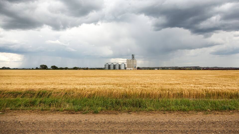 A vast wheat field with a silo and a building in the distance under a cloudy sky.