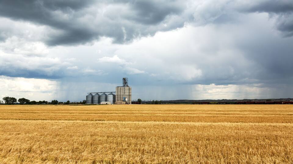 A wheat field with a grain elevator and silo under a cloudy sky.